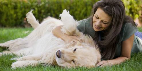 Estudos comprovam que ter um cão ajuda na saúde física e emocional. E mais, cães podem detectar câncer
