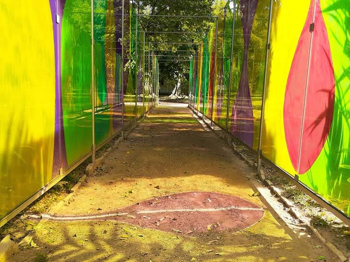 Jardim Botânico inaugura instalação “In Vitro”, do artista Mario Fraga