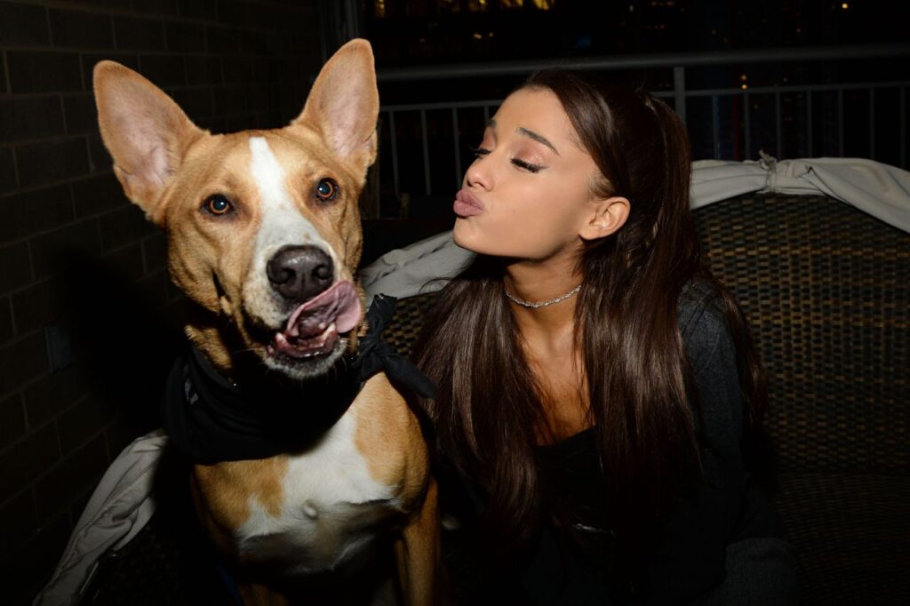 Ariana Grande abre abrigo para animais em Los Angeles