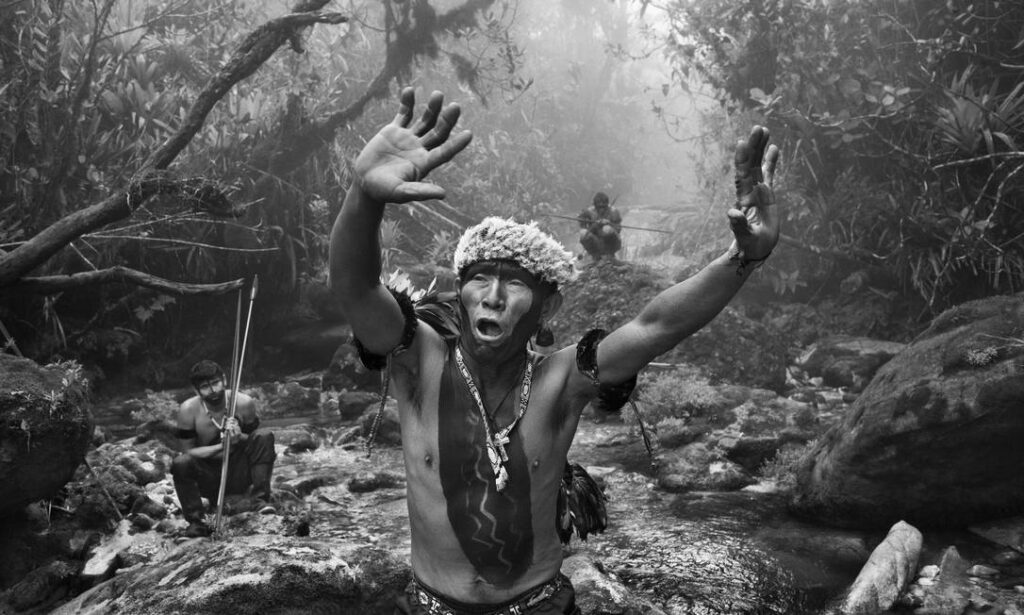 Exposição do fotógrafo Sebastião Salgado alerta sobre o desmatamento na Amazônia