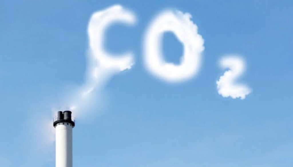 Vivo anuncia redução de 19% em suas emissões diretas de CO2 em 2021